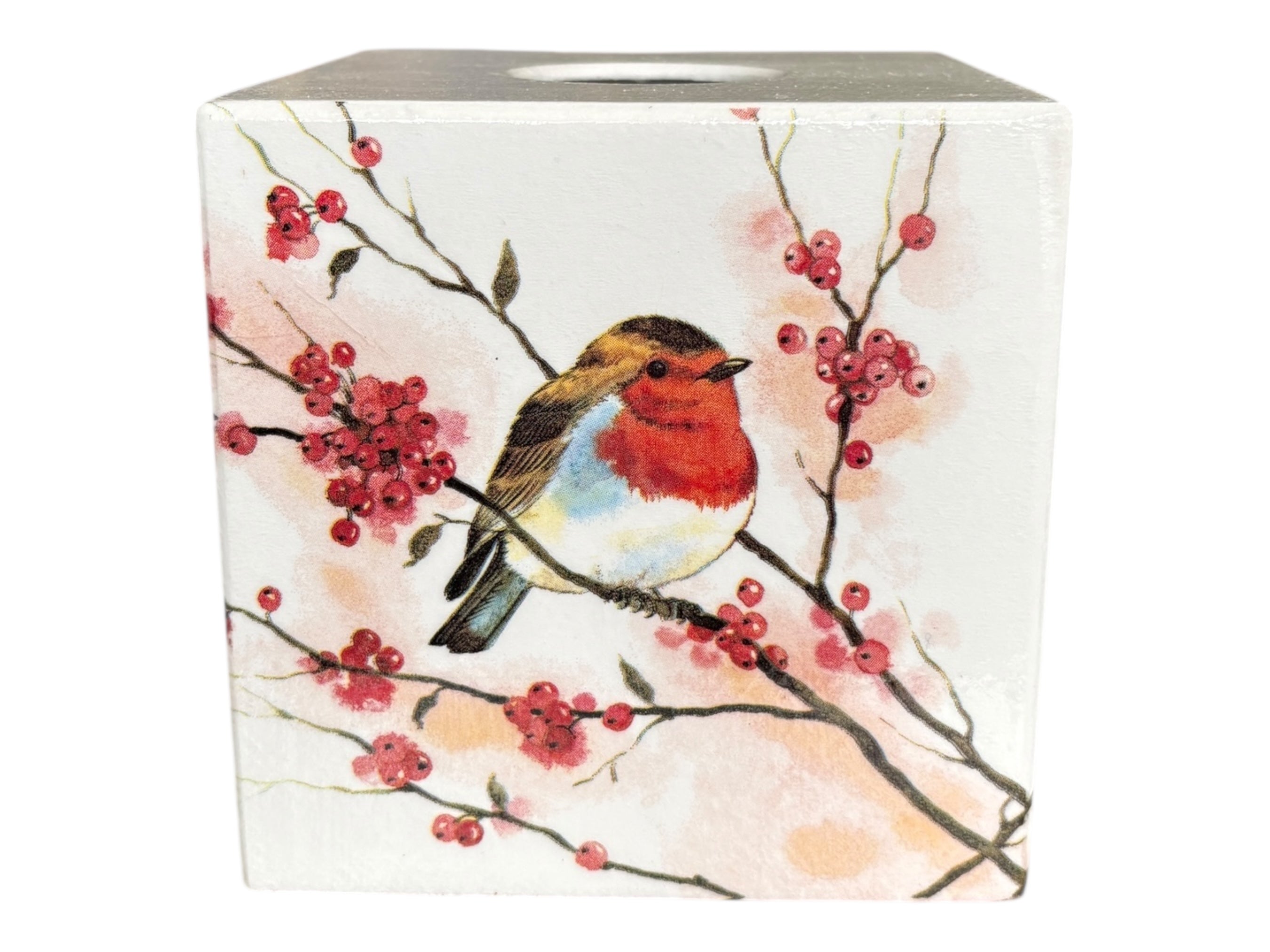 Tissue Box cover Red Robin