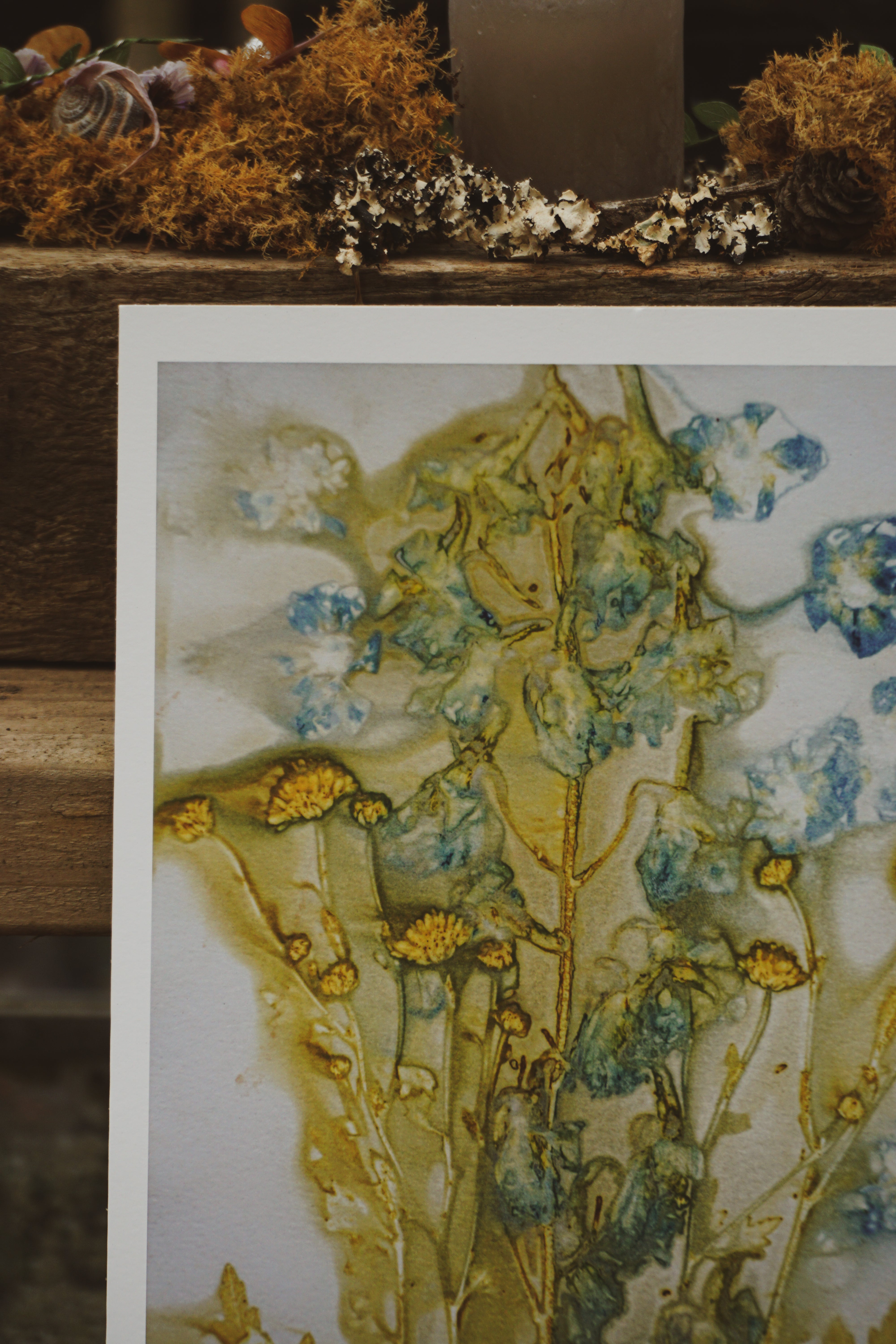 'Delphinium Daydreams' Nature Art Print