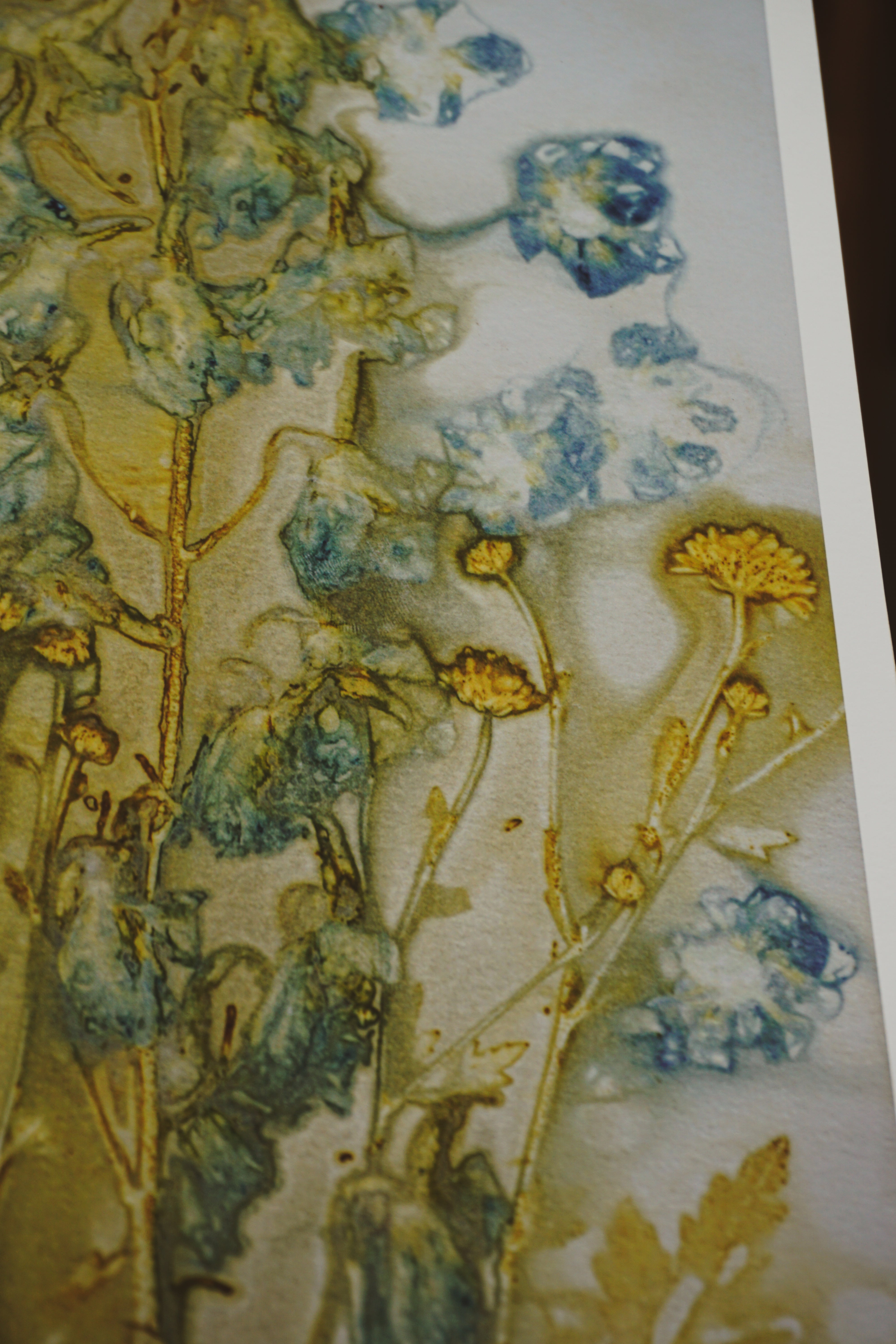 'Delphinium Daydreams' Nature Art Print