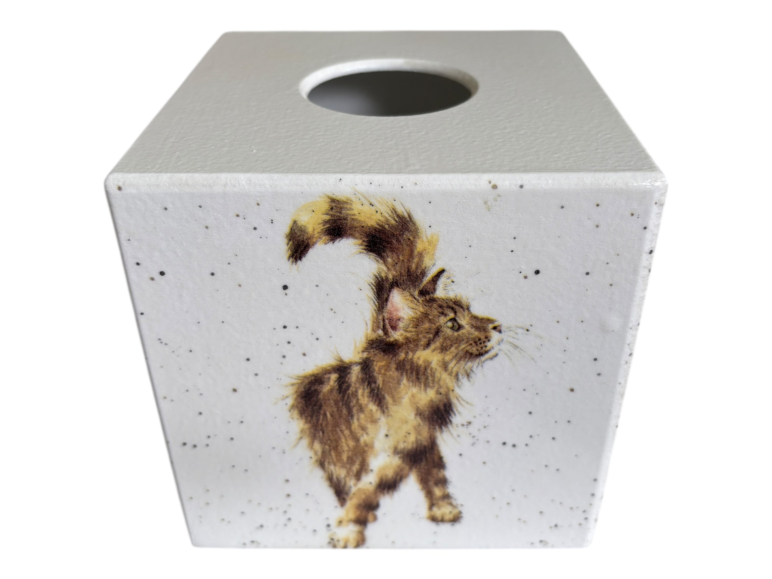 Cat Tissue Box cover