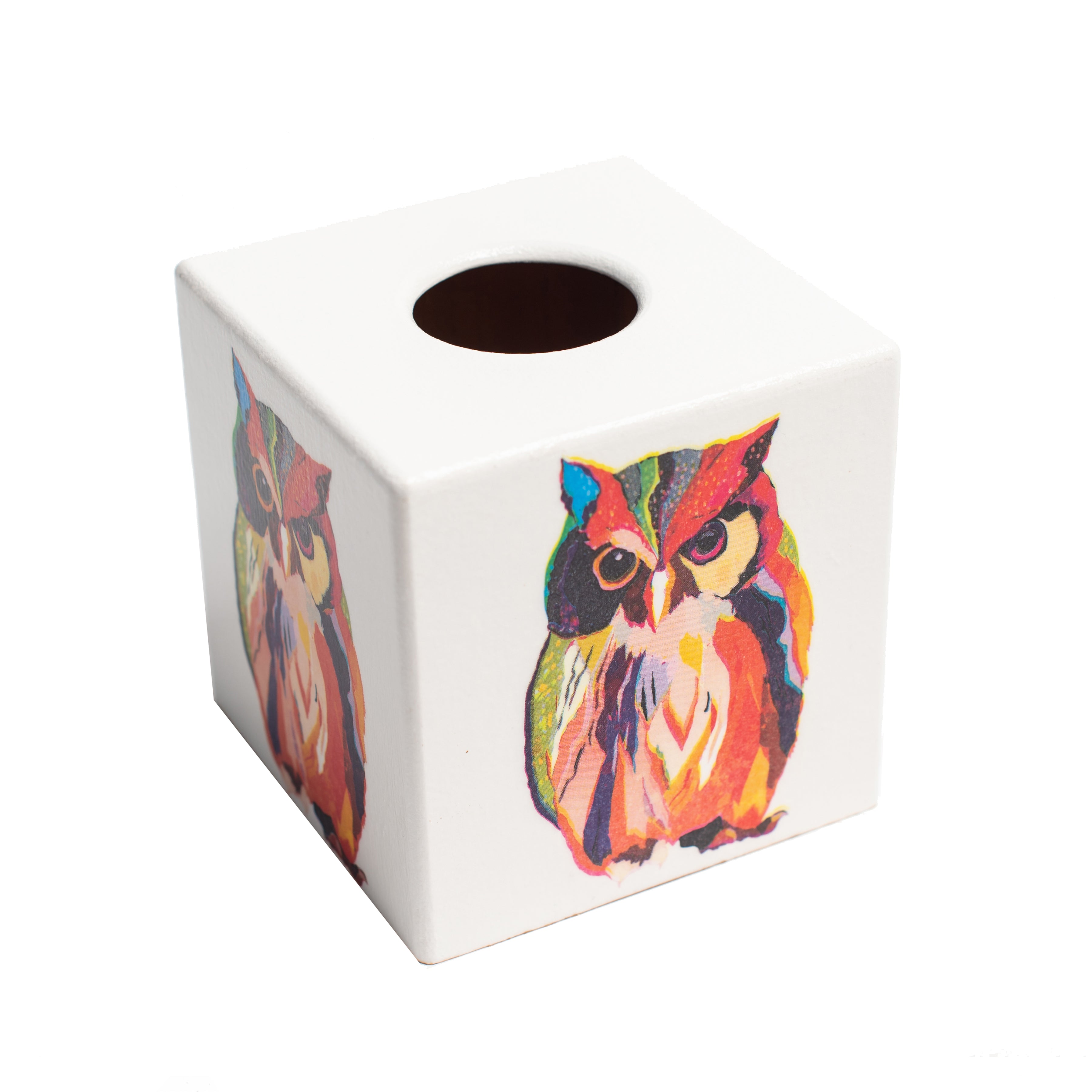 Rainbow Owl Tissue Box Cover - Handmade