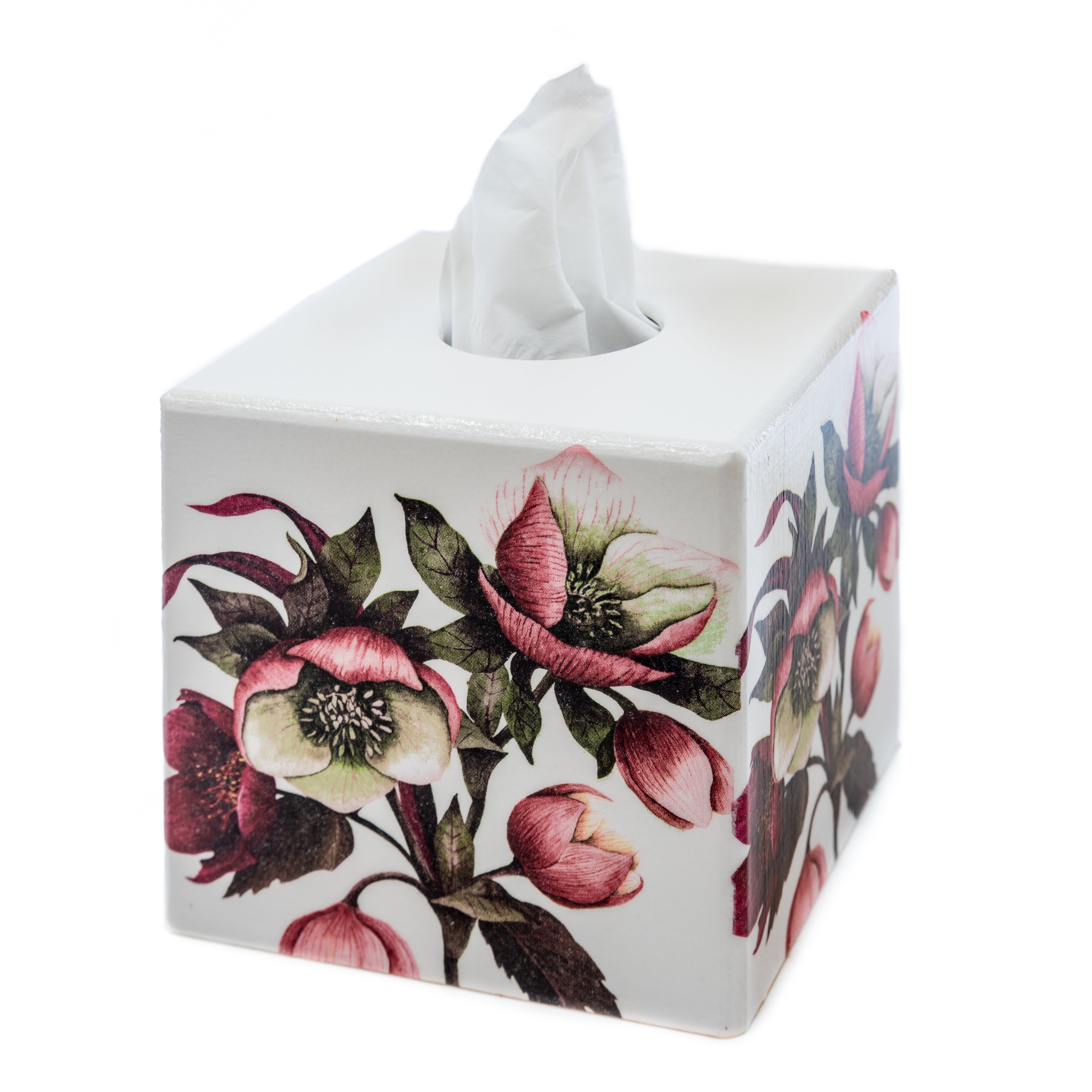 Helleborus Tissue box cover